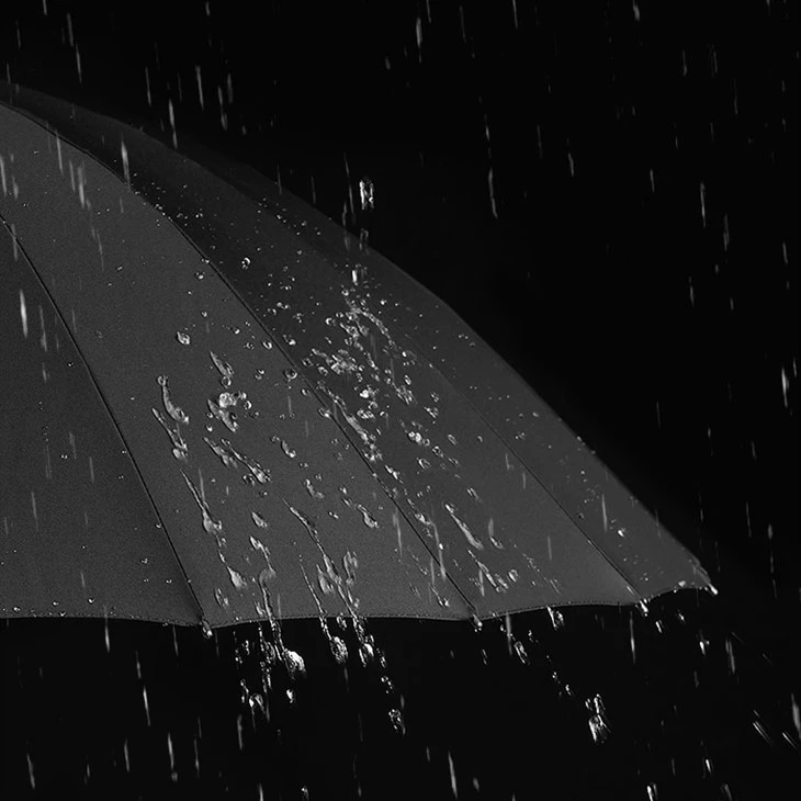 Auto Wood Walking Umbrella